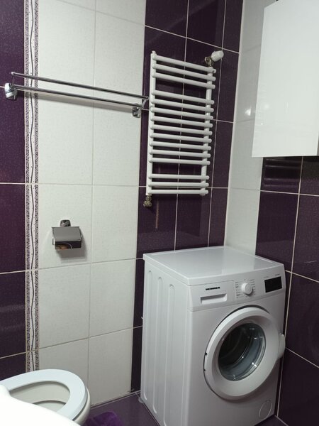 Tei, str. Nada Florilor, proprietar