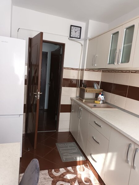 Tei, str. Nada Florilor, proprietar