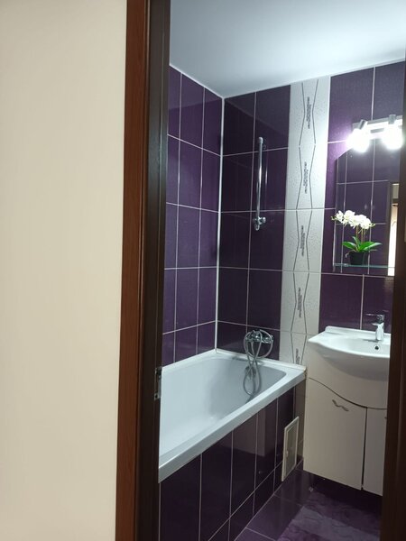 Tei, str. Nada Florilor, proprietar